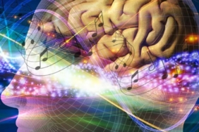 Anadolu Sifasi Neden Onemli